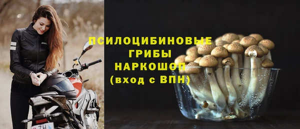spice Алексеевка