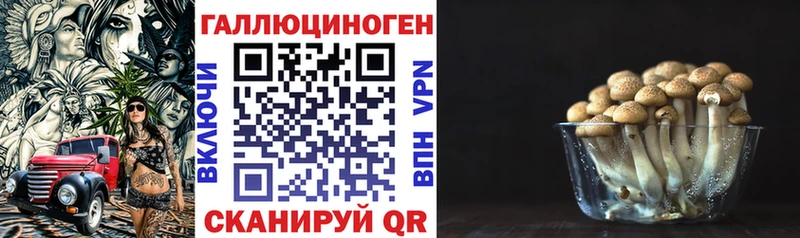 ОМГ ОМГ как войти  Павловская  Галлюциногенные грибы Magic Shrooms 